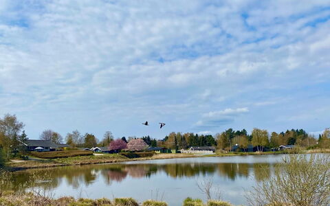Athisl - 800M from the Sea: Wasser, Wasservorräte, Natürlichen Umgebung, Natur, Natürliche Landschaft, Bank, Wasserlauf, Sumpf, Reflexion