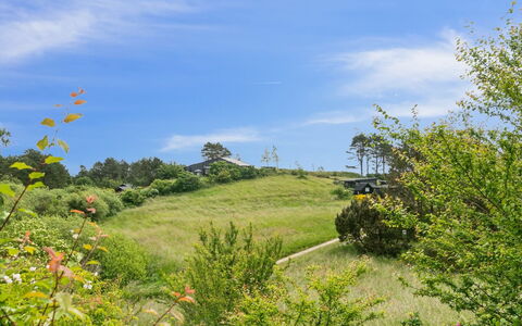 Arntraud - 250M from the Sea: Gras, Wiese, Grundstueck, Hütte, Ländliches Gebiet, Wiese, Gartenbauten, Garten, Schuppen
