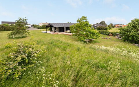 Siebelt - 200M from the Sea: Grün, Gras, Vegetation, Wiese, Strauch, Grundstueck, Pflanzengemeinschaft, Ländliches Gebiet, Ground