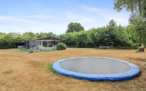 Eldina - 100M from the Sea: Baum, Gras, Trampolin, Trampolining - Geräte Und Materialien, Landschaft, Grundstueck, Einfach, Garten, Schatten