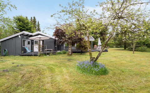 Syrina: Dach, Haus, Zuhause, Hütte, Abstellgleis, Estate, Auffahrt, Gartenbauten, Garten, Schuppen