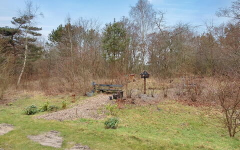 Enni - 100M from the Sea: Gras, Strauch, Grundstueck, Pflanzengemeinschaft, Boden, Weg, Wald, Shrubland