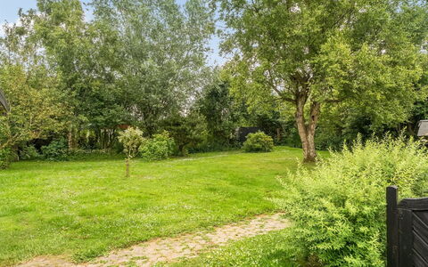 Gia - 1.3Km from the Sea: Baum, Strauch, Garten, Grundstueck, Rasen, Frühling, Ground, Schatten, Gehölz