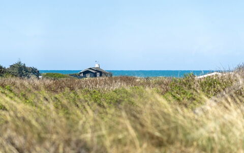Gila - 250M from the Sea: Flooring, Wand, Fussboden, Interior Design, Holz, Decke, Holzboden, Beleuchtung, Möbel, Laminatboden