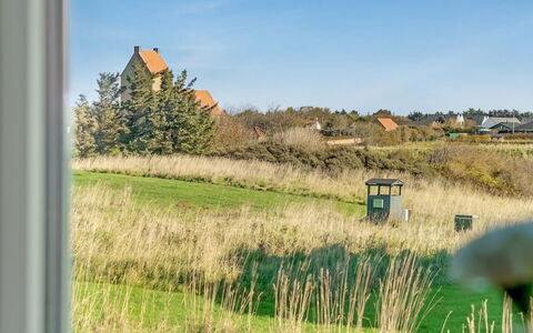 Aashild - 400M from the Sea: Grün, Gras, Wiese, Strauch, Ländliches Gebiet, Einfach, Landschaft, Grundstueck, Prärie