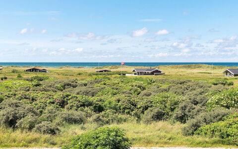 Elvie - 200M from the Sea: Blau, Himmel, Gras, Wiese, Ökoregion, Horizont, Einfach, Grundstueck, Landschaft, Pflanzengemeinschaft