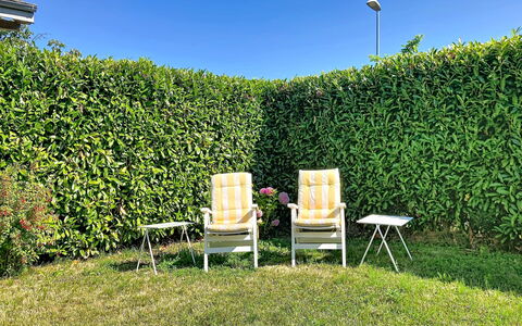 Dorenavant: Strauch, Hecke, Garten, Schatten, Plantage, Kraut, Immergrün