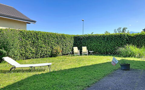 Dorenavant: Grün, Gras, Strauch, Hecke, Garten, Schatten, Ground, Rasen, Garten
