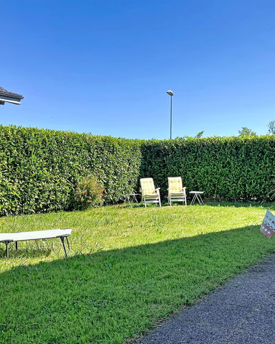 Dorenavant: Grün, Gras, Strauch, Hecke, Garten, Schatten, Ground, Rasen, Garten