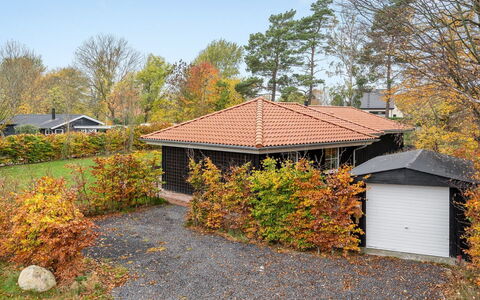 Ribanna - 650M from the Sea: Dach, Zuhause, Tür, Hütte, Schatten, Abstellgleis, Garten, Estate, Hinterhof