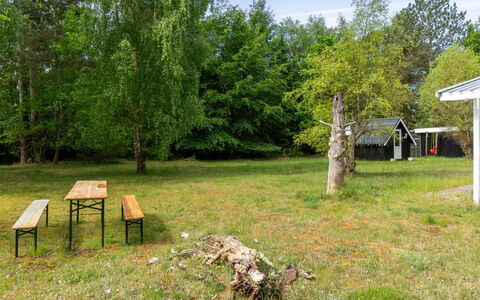 Rietrikki - 1.5Km from the Sea: Baum, Gras, Grundstueck, Ländliches Gebiet, Rasen, Kofferraum, Frühling, Wald, Garten