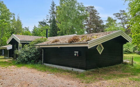 Nititzki - 600M from the Sea: Zuhause, Hütte, Veranda, Abstellgleis, Bauernhaus, Outdoor Struktur