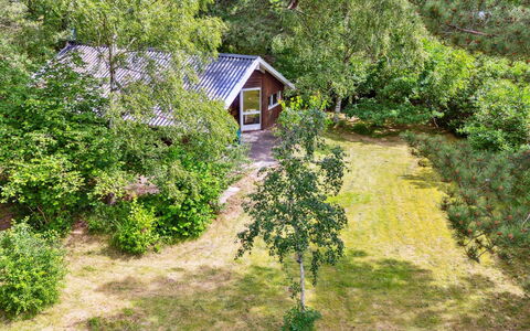 Kerrin - 300M from the Sea: Möbel, Interior Design, Flooring, Holz, Fussboden, Decke, Holzboden, Stuhl, Tabelle, Beleuchtung