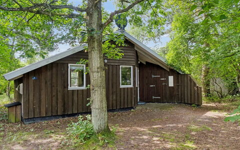 Kerrin - 300M from the Sea: Möbel, Interior Design, Flooring, Holz, Fussboden, Decke, Holzboden, Stuhl, Tabelle, Beleuchtung