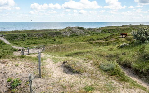 Lisbeth - 400M from the Sea: Dach, Haus, Zuhause, Hütte, Abstellgleis, Estate, Auffahrt, Gartenbauten, Garten, Schuppen