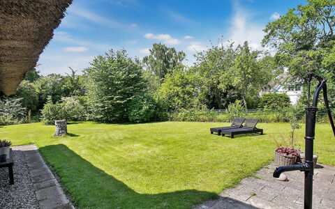 Sibo - 1.5Km from the Sea: Gras, Strauch, Garten, Landschaft, Grundstueck, Rasen, Landscaping, Schatten, Hinterhof, Garten