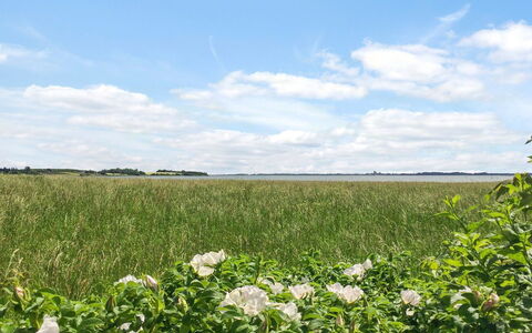 Vojo - 100M from the Sea: Himmel, Blau, Grün, Wolke, Blume, Feld, Sommer, Landwirtschaft, Wiese