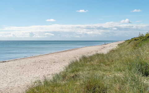 Myrra - 10M from the Sea: Dach, Haus, Zuhause, Hütte, Abstellgleis, Estate, Auffahrt, Gartenbauten, Garten, Schuppen