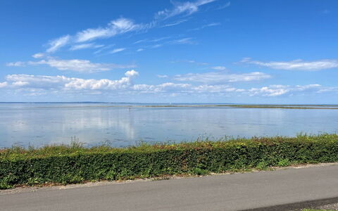 Gudke - 50M from the Sea: Möbel, Interior Design, Flooring, Holz, Fussboden, Decke, Holzboden, Stuhl, Tabelle, Beleuchtung
