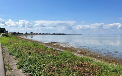 Gudke - 50M from the Sea: Möbel, Interior Design, Flooring, Holz, Fussboden, Decke, Holzboden, Stuhl, Tabelle, Beleuchtung