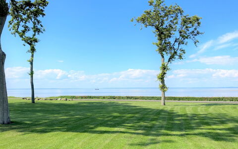 Gudke - 50M from the Sea: Möbel, Interior Design, Flooring, Holz, Fussboden, Decke, Holzboden, Stuhl, Tabelle, Beleuchtung
