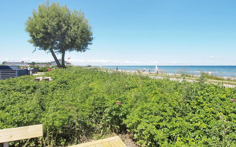 Vincent - 10M from the Sea: Blau, Grün, Sommer, Strauch, Meer, Ozean, Küsten Und Ozeanische Forms, Ground, Küste, Ufer