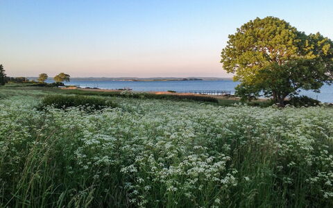 Bibi - 200M from the Sea: Daytime, Gebäude, Stadtgebiet, Metropolitan Area, Stadt, Wohnung, Nachbarschaft, Metropole, Wolkenkratzer