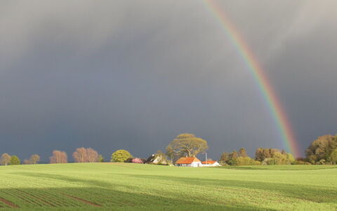 Harre - 300M from the Sea: Gras, Strauch, Haus, Garten, Zuhause, Hütte, Grundstueck, Rasen, Ground