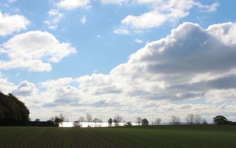 Harre - 300M from the Sea: Gras, Strauch, Haus, Garten, Zuhause, Hütte, Grundstueck, Rasen, Ground