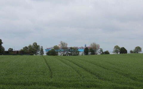 Harre - 300M from the Sea: Gras, Strauch, Haus, Garten, Zuhause, Hütte, Grundstueck, Rasen, Ground