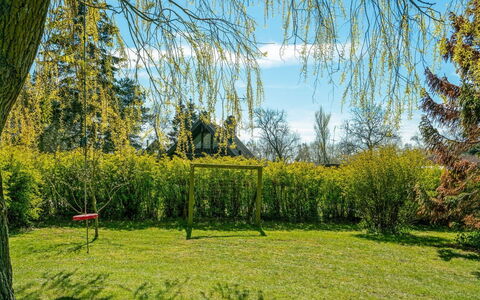 Maira - 150M from the Sea: Grün, Gras, Blatt, Natur, Vegetation, Strauch, Grundstueck, Garten, Ground