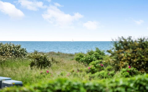Emin - 100M from the Sea: Himmel, Blau, Daytime, Grün, Horizont, Vegetation, Sommer, Meer, Strauch, Pflanzengemeinschaft