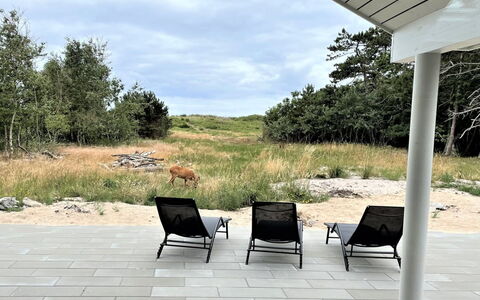 Jorn - 75M from the Sea: Haus, Dach, Zuhause, Hütte, Schuppen, Gartenbauten, Abstellgleis, Garten, Blockhaus, Hütte