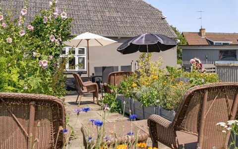 Evje - 250M from the Sea: Blume, Strauch, Blumentopf, Möbel, Gartenmöbel, Hütte, Haus, Garten, Stuhl