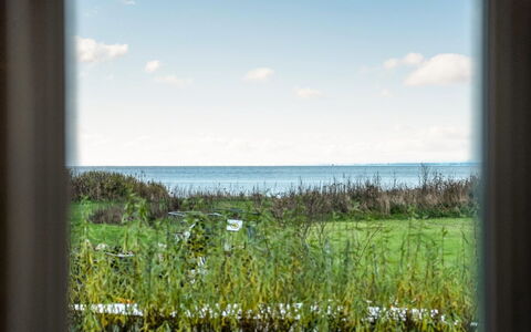 Joran - 120M from the Sea: Grün, Natürliche Landschaft, Ökoregion, Wolke, Einfach, Meer, Morgen, Prärie, Sonnenlicht, Ozean