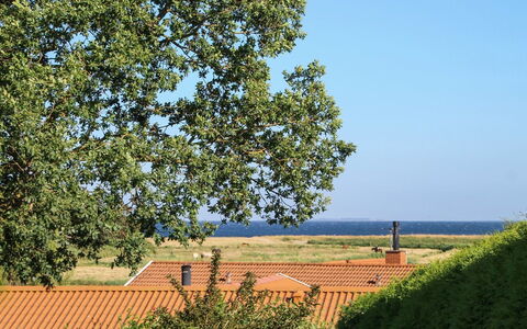 Roel - 500M from the Sea: Blau, Grün, Blatt, Einfach, Grundstueck, Ländliches Gebiet, Morgen, Sonnenlicht, Gehölz, Schatten