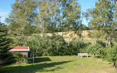 Roel - 500M from the Sea: Baum, Blatt, Strauch, Grundstueck, Frühling, Garten, Rasen, Schatten, Landscaping