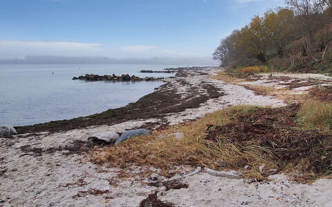 Majbritt - 50M from the Sea: Wasser, Gewässer, Natürlichen Umgebung, Küste, Küsten Und Ozeanische Forms, Ufer, \Fels, Meer, Bank, Strand
