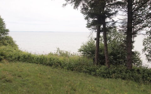 Pirjo - 50M from the Sea: Dach, Haus, Grundstueck, Zuhause, Hütte, Estate, Gartenbauten, Schatten, Blockhaus, Landscaping