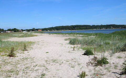 Anisa - 400M from the Sea: Möbel, Interior Design, Flooring, Holz, Fussboden, Decke, Holzboden, Stuhl, Tabelle, Beleuchtung