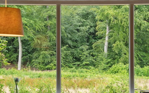 Rosa - 300M from the Sea: Holz, Dach, Die Architektur, Zuhause, Haus, Hütte, Abstellgleis, Hartholz, Steigung, Estate