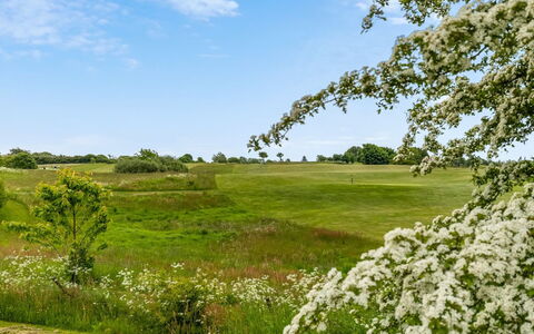 Ditte - 300M from the Sea: Himmel, Grün, Baum, Natürlichen Umgebung, Vegetation, Natürliche Landschaft, Wiese, Strauch, Sommer