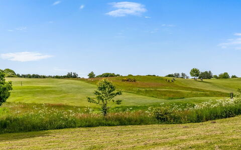 Ditte - 300M from the Sea: Himmel, Blau, Grün, Natürlichen Umgebung, Gras, Wiese, Natürliche Landschaft, Ökoregion, Einfach, Vegetation