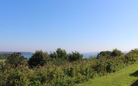 Marga - 400M from the Sea: Dach, Haus, Zuhause, Hütte, Tür, Abstellgleis, Deck, Veranda, Planke, Hartholz