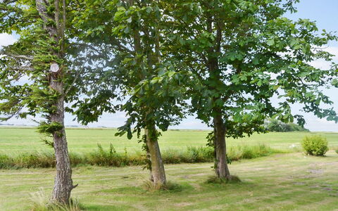 Juuso - 20Km from the Sea: Dach, Haus, Zuhause, Hütte, Tür, Abstellgleis, Deck, Veranda, Planke, Hartholz