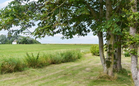 Juuso - 20Km from the Sea: Dach, Haus, Zuhause, Hütte, Tür, Abstellgleis, Deck, Veranda, Planke, Hartholz