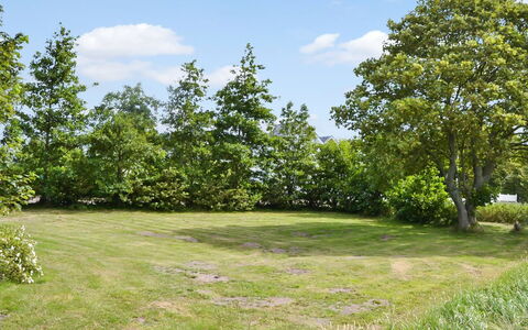Juuso - 20Km from the Sea: Grün, Baum, Blatt, Ast, Vegetation, Strauch, Wiese, Pflanzengemeinschaft, Einfach