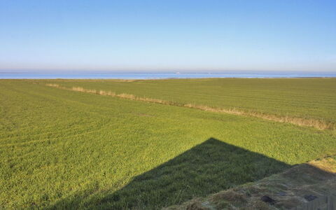 Skarpe: Gras, Wiese, Landschaft, Ökoregion, Einfach, Pflanzengemeinschaft, Grundstueck, Gartenmöbel, Prärie, Shrubland