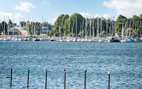 Joar - 5M to the Fjord: Blau, Wasser, Wasserweg, Boot, Yachthafen, Watercraft, Mast, Kanal, See, Hafen