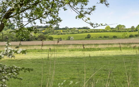 Sigbritt - 100M from the Sea: Grün, Baum, Natürlichen Umgebung, Wiese, Natürliche Landschaft, Vegetation, Einfach, Feld, Ökoregion, Weide